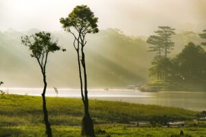 Gba66fd34ce0964a872d10e5bc7bc3cf657ff902320cbbe9fc77824fc493211fb66a5b3220131ac67f6af2cd41323bbe0a4c456c304023bd3a74ddb796fde22aa 640