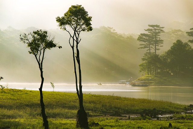 Gba66fd34ce0964a872d10e5bc7bc3cf657ff902320cbbe9fc77824fc493211fb66a5b3220131ac67f6af2cd41323bbe0a4c456c304023bd3a74ddb796fde22aa 640