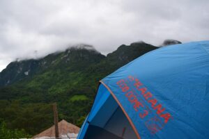 Image thedogscakebakery.co.uk 1504 1745981593594